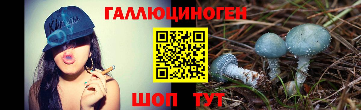 Вичуга  как найти   Вход с VPN  Псилоцибиновые грибы мицелий 